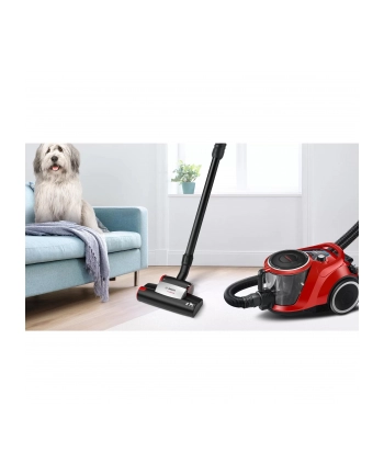 Bosch Series 6 ProAnimal BGC41PET, canister vacuum cleaner (red/Kolor: CZARNY) nr 2