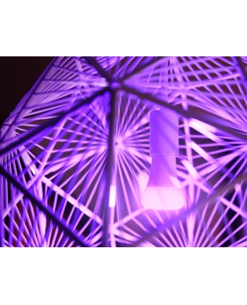 PHILIPS HUE White and color ambiance Zestaw startowy 2 szt. E27 1100lm (929002468810) nr 1
