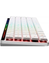 asus Klawiatura ROG Falchion RX Low Profile BT/2.4GHz/USB - nr 37