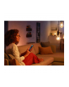 PHILIPS HUE White Ambiance Żarówka Filament G125 E27 (929003052101) - nr 18