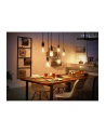 PHILIPS HUE White Ambiance Żarówka Filament G125 E27 (929003052101) - nr 19