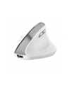 trust Mysz BAYO II ergonomiczna bezprzewodowa biała - nr 16