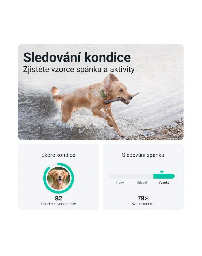 Lokalizator GPS Dla Psów Tractive Tracker XL Zielony główny