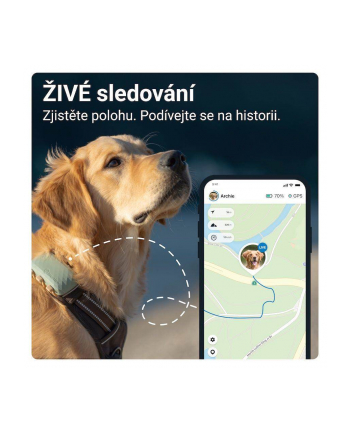 Lokalizator GPS Dla Psów Tractive Tracker XL Zielony