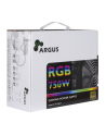 Inter-Tech Argus RGB-750W CM II moduł zasilaczy 20+4 pin ATX ATX Czarny - nr 14