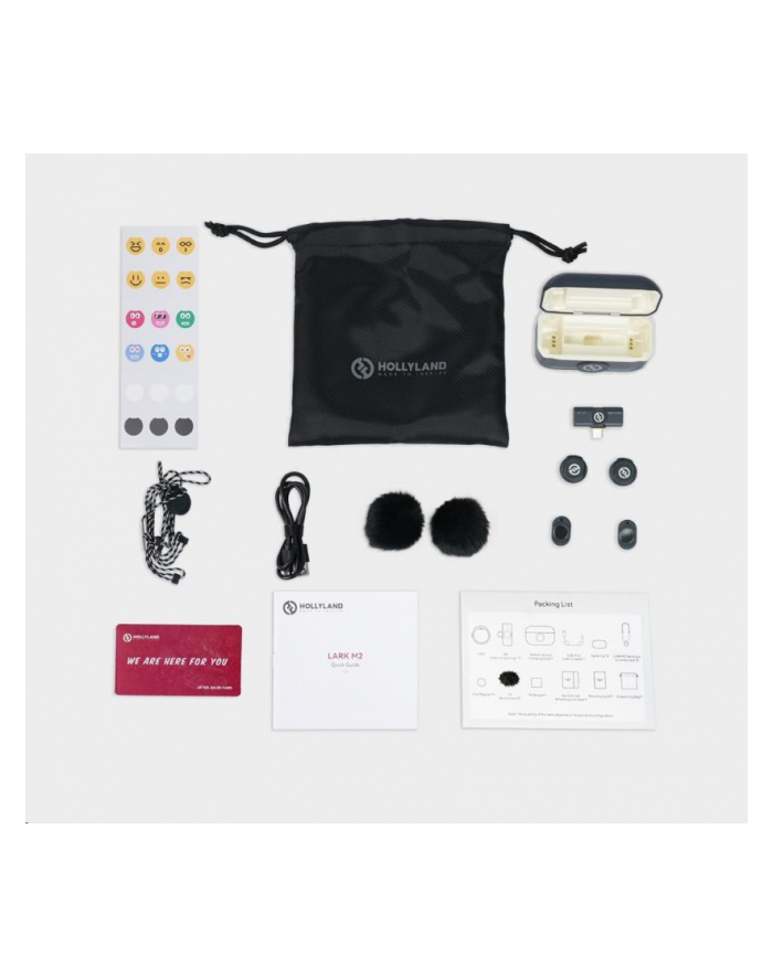 Hollyland Lark M2 USB-C główny