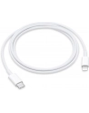 apple Kabel USB-C do LIGHTNING  1 m - nr 30