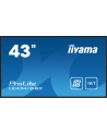 iiyama Monitor 42.5 cala ProLite LE4341S-B2 IPS,FHD,18/7,LAN,HDMI - nr 35