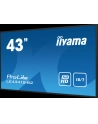 iiyama Monitor 42.5 cala ProLite LE4341S-B2 IPS,FHD,18/7,LAN,HDMI - nr 93