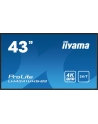 iiyama Monitor ProLite LH4341UHS-B2 42.5 cala 24/7,500cd,4K,IPS,3xHDMI - nr 1