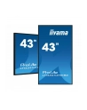 iiyama Monitor ProLite LH4341UHS-B2 42.5 cala 24/7,500cd,4K,IPS,3xHDMI - nr 59