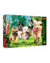 Puzzle 1000el Premium Plus Tea time Nadchodzą kłopoty 10800 Trefl - nr 5