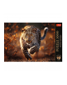 Puzzle 1000el Premium Plus Photo Odyssey: Dziki Leopard 10818 Trefl - nr 4