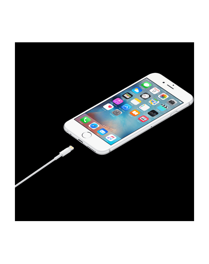 apple Przewód ze złącza Lightning na USB (1 m) główny