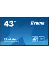 iiyama Monitor 42.5 cala ProLite LE4341S-B2 IPS,FHD,18/7,LAN,HDMI - nr 59