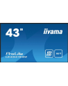 iiyama Monitor 42.5 cala ProLite LE4341S-B2 IPS,FHD,18/7,LAN,HDMI - nr 68