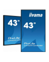 iiyama Monitor ProLite LH4341UHS-B2 42.5 cala 24/7,500cd,4K,IPS,3xHDMI - nr 51