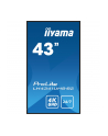 iiyama Monitor ProLite LH4341UHS-B2 42.5 cala 24/7,500cd,4K,IPS,3xHDMI - nr 54