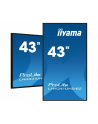 iiyama Monitor ProLite LH4341UHS-B2 42.5 cala 24/7,500cd,4K,IPS,3xHDMI - nr 62