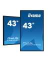 iiyama Monitor 42.5 cala ProLite LH4375UHS-B1 G,24/7,IPS,ANDROID 11 - nr 41