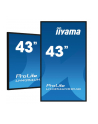 iiyama Monitor 42.5 cala ProLite LH4375UHS-B1 G,24/7,IPS,ANDROID 11 - nr 47