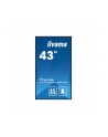 iiyama Monitor 42.5 cala ProLite LH4375UHS-B1 G,24/7,IPS,ANDROID 11 - nr 50