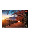Puzzle 1000el Premium Plus Photo Odyssey: Góra Fuji, Japonia 10817 Trefl - nr 4