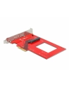 DeLOCK PCI Express x4 Card to 1 x internal U.3, interface card - nr 3