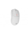 Genesis Zircon 500 biała (NMG2114) - nr 10