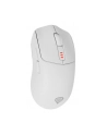 Genesis Zircon 500 biała (NMG2114) - nr 12
