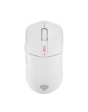 Genesis Zircon 500 biała (NMG2114) - nr 16