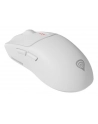 Genesis Zircon 500 biała (NMG2114) - nr 18