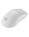 Genesis Zircon 500 biała (NMG2114) - nr 19