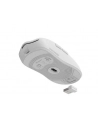 Genesis Zircon 500 biała (NMG2114) - nr 21