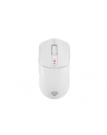 Genesis Zircon 500 biała (NMG2114) - nr 26