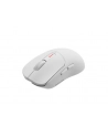 Genesis Zircon 500 biała (NMG2114) - nr 27