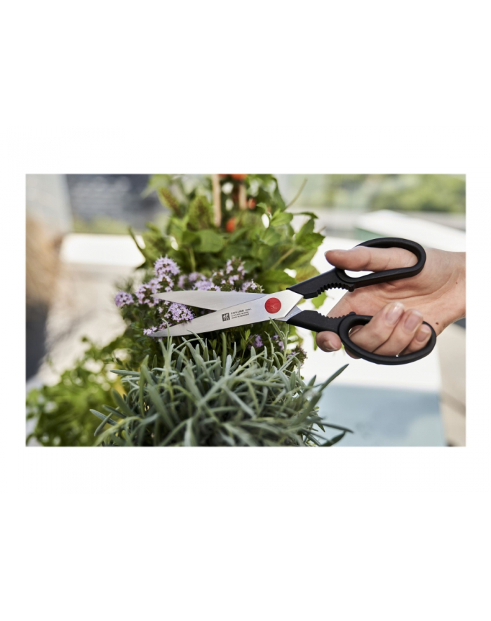 no name Nożyce wielofunkcyjne Zwilling Twin L - 23 cm główny