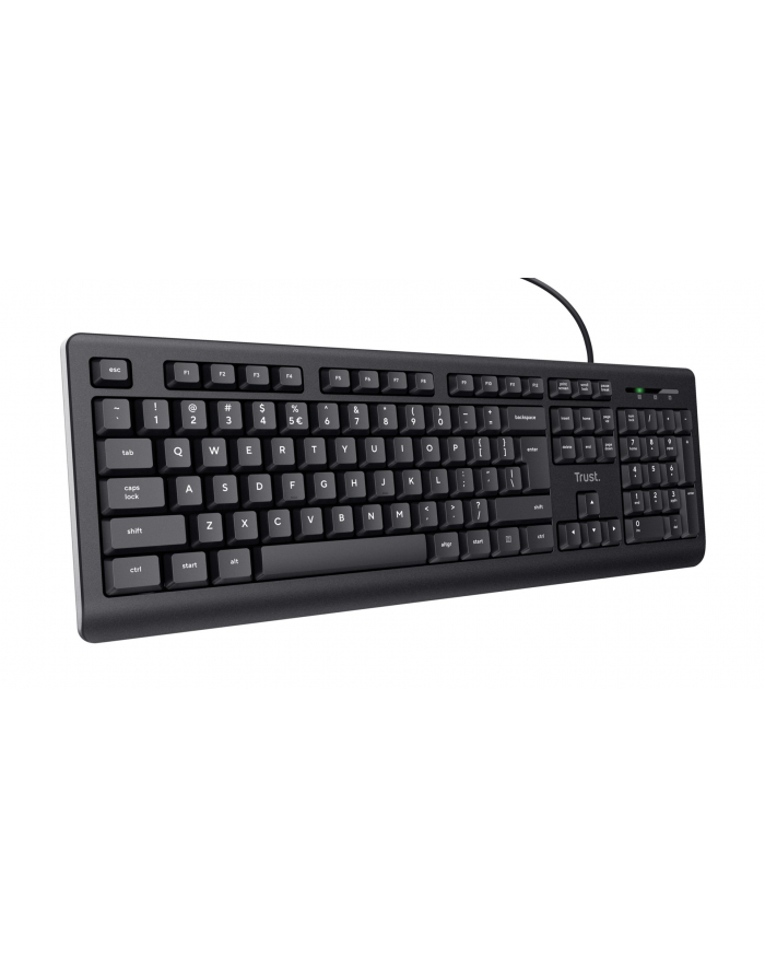 Klawiatura TRUST TK-150 KEYBOARD US (23980) główny