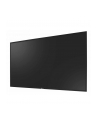 Monitor AG Neovo SMQ 4301 LED 43''; 4K IPS VGA DVI HDMI BNC SPK 2x5W VESA Pilot CCTV 24/7 - nr 25