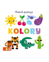 zielona sowa Książeczka Maluch poznaje. Kolory - nr 1