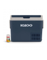 Igloo ICF40, cool box (blue) - nr 11