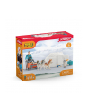 Schleich Wild Life Antarctic Expedition, toy figure - nr 16