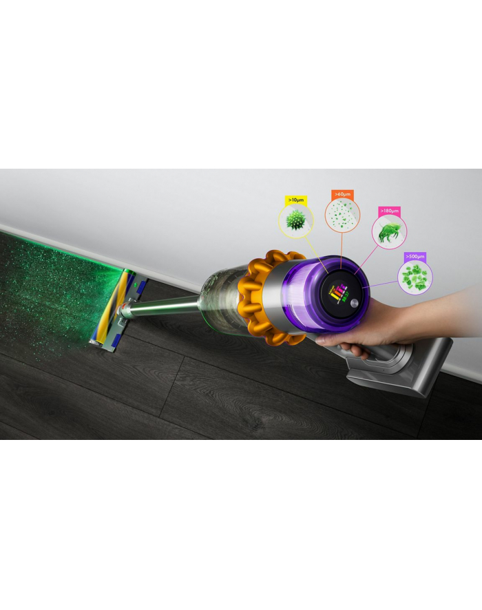 Dyson V15 Detect Fluffy główny