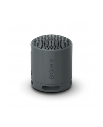 Sony SRS-XB100 Czarny