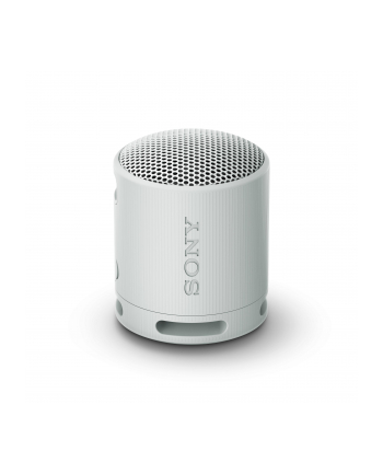 Sony XB100 Szary