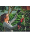 Einhell cordless pruning saw GE-GS 18/150 Li-Solo, 18 volts (red/Kolor: CZARNY, without battery and charger) - nr 2