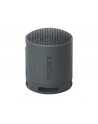 Sony SRS-XB100 Czarny - nr 1