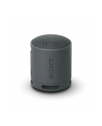Sony SRS-XB100 Czarny nr 1