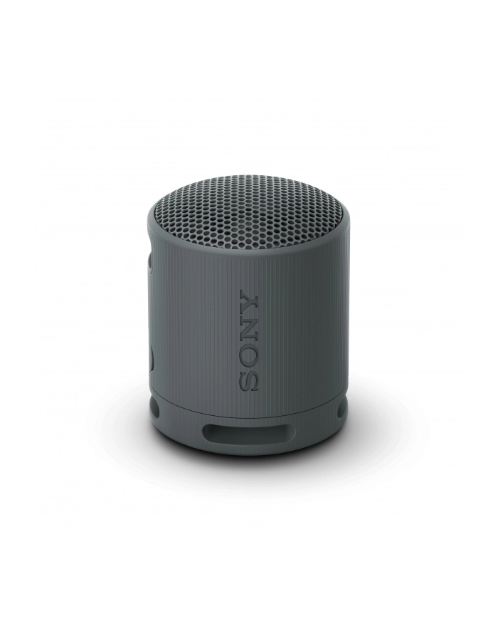 Sony SRS-XB100 Czarny główny