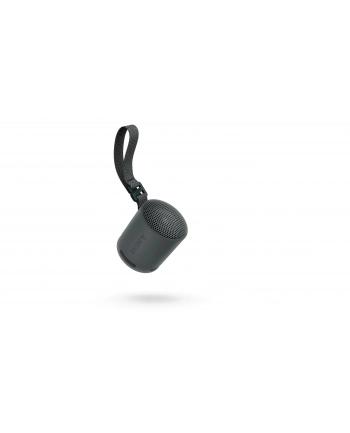 Sony SRS-XB100 Czarny nr 2